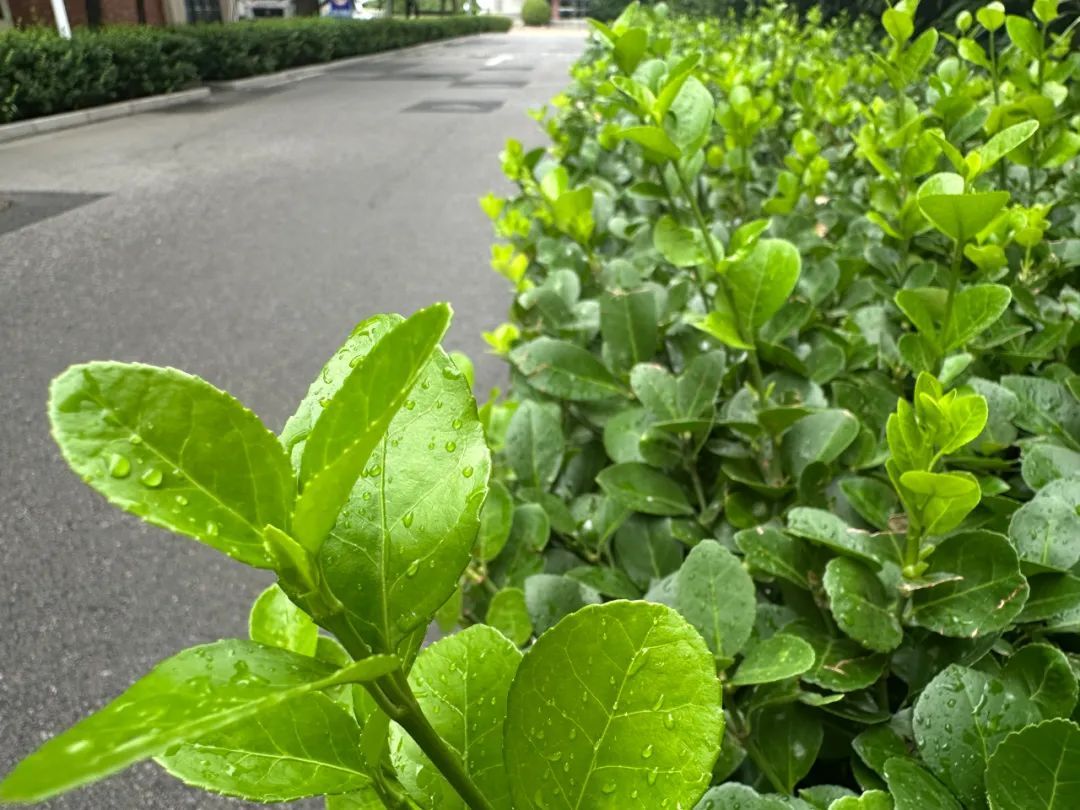 天津又下起来了!警惕强对流!一地紧急发布红色预警 天津又下起来了!警惕强对流!一地紧急发布红色预警