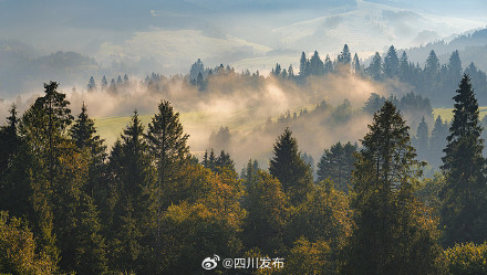 四川启动专项行动整治侵占破坏岸线问题
