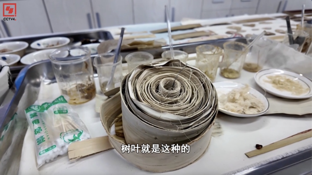 布达拉宫贝叶经修复：巧手匠心守护千年珍宝