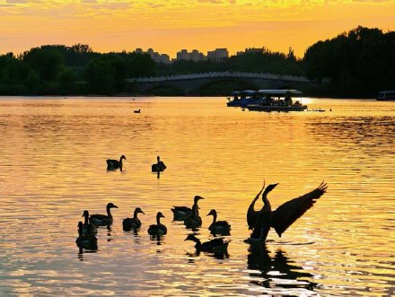 今天北京的天空“好戏连连”！这组美图让你大饱眼福