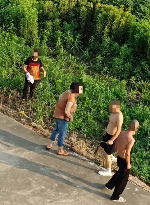 报复性喷洒农药致邻居一家中毒，66岁老太被行拘！