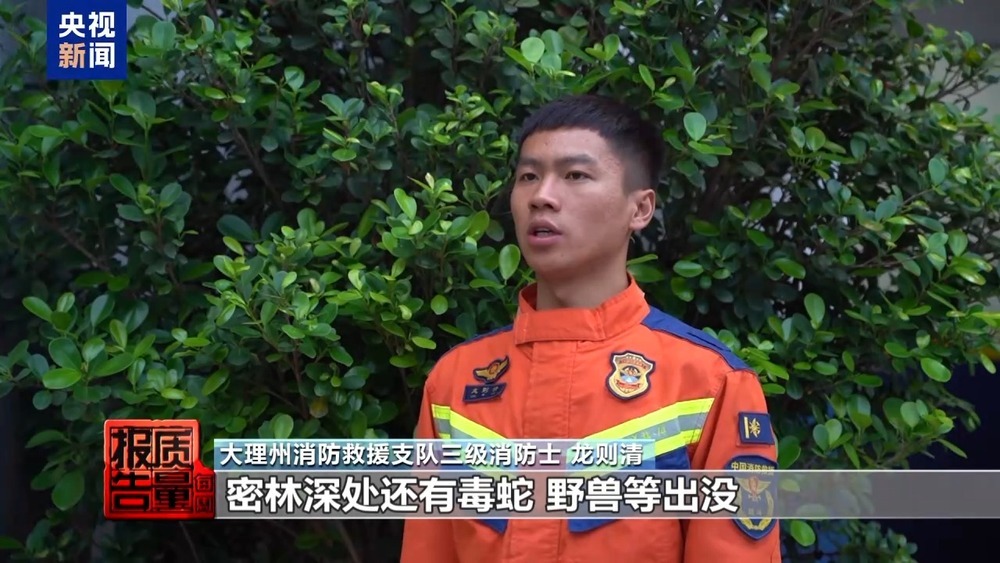 每周质量报告丨云南大理“采菌游”爆火 无序采摘已引发多起警情