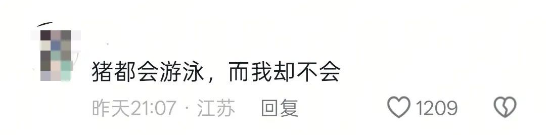 南京6头野猪横渡长江!组队整整齐齐,不慌不忙,还排成了“6”字…… 南京6头野猪横渡长江!组队整整齐齐,不慌不忙,还排成了“6”字……