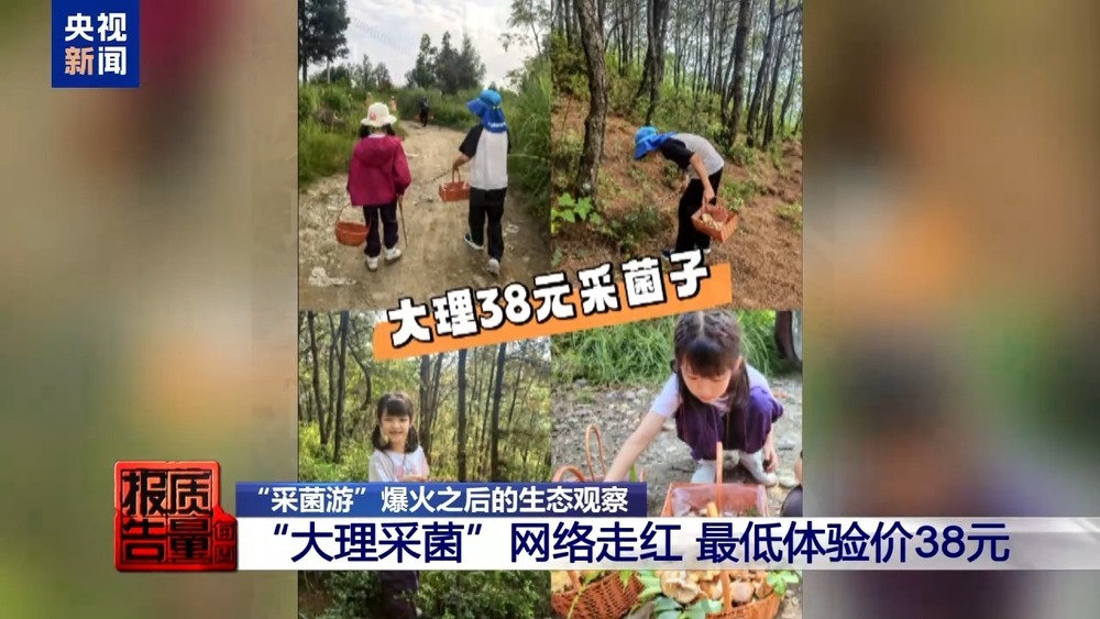每周质量报告丨云南大理“采菌游”爆火 无序采摘已引发多起警情