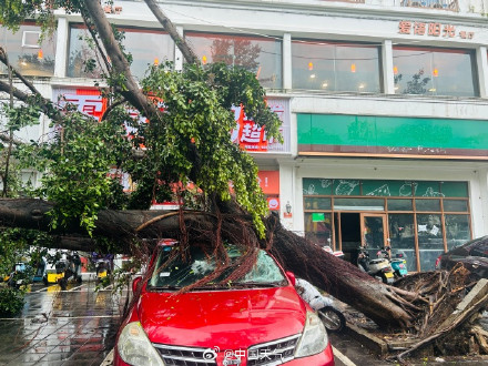 台风“剑鱼”吹袭三亚后现状