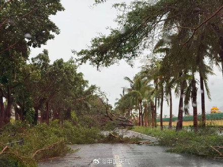 台风“剑鱼”吹袭三亚后现状