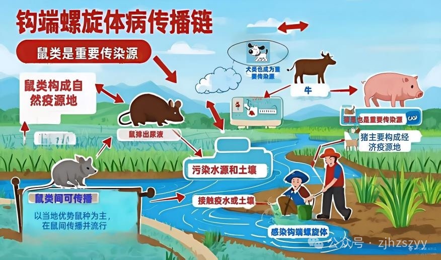 10秒感染,男子高烧42℃险丧命!人人可能中招 10秒感染,男子高烧42℃险丧命!人人可能中招