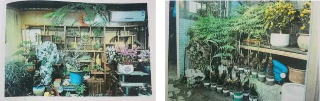 收到朋友送的“金毛”，上海男子吓得报警！结果让所有人都意外…