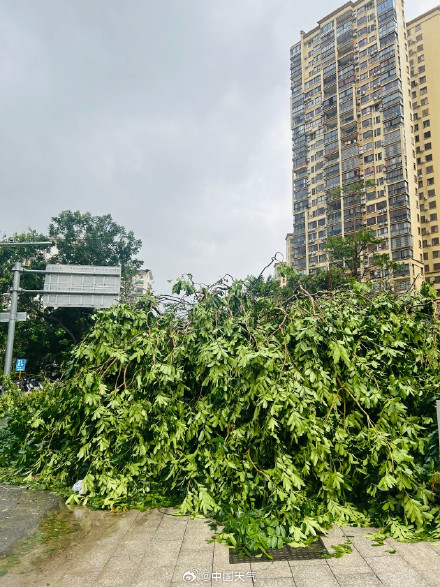 台风“剑鱼”吹袭三亚后现状