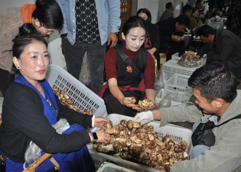 四川甘孜州雅江县：在生态保护中端稳“生态饭碗”