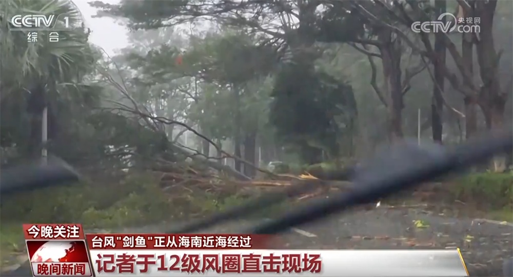 紧急救援、转移群众、提前布局……多地加强应对台风“剑鱼” 保安全保民生