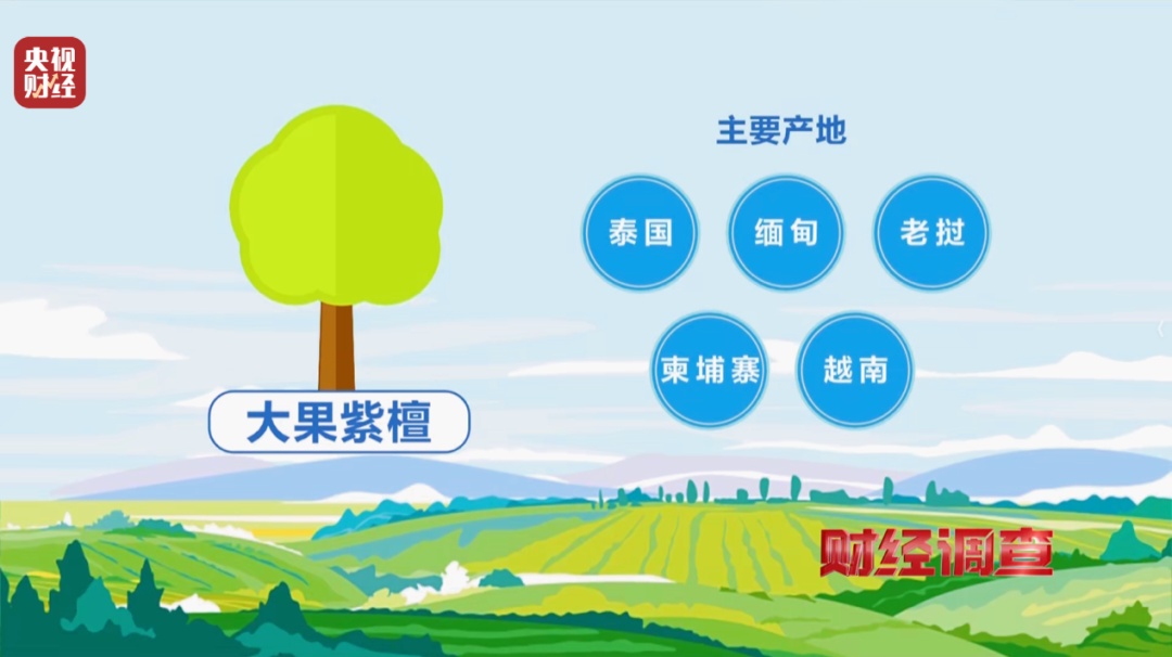 “权威证书”按斤卖,一张0.8元!记者调查红木市场销售乱象→ “权威证书”按斤卖,一张0.8元!记者调查红木市场销售乱象→
