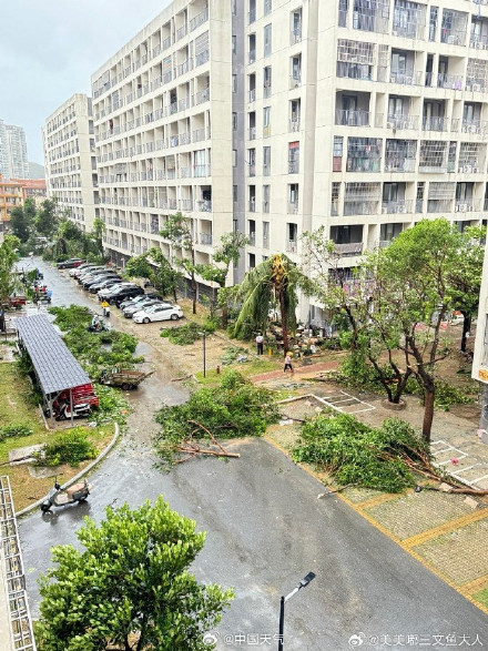 台风“剑鱼”吹袭三亚后现状