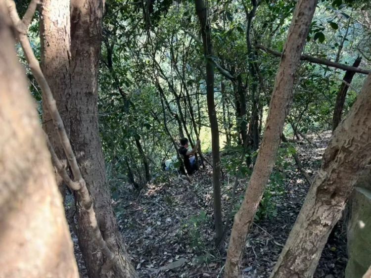 “我不想连累你” ……女子被困悬崖边,一段对话让人破防! “我不想连累你” ……女子被困悬崖边,一段对话让人破防!