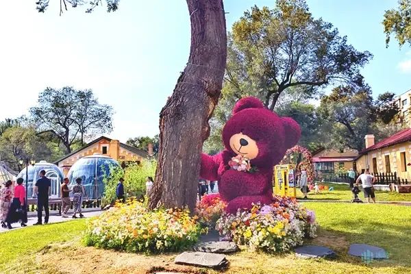 未来三天 哈尔滨市最高气温26℃