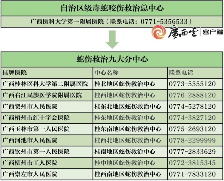 太危险！柳州大爷被咬伤后带毒蛇就诊，千万别学！
