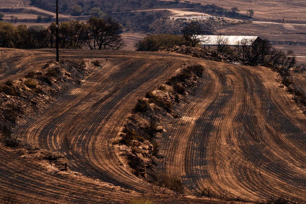 西班牙遭遇有记录以来“最猛烈热浪” 西班牙遭遇有记录以来“最猛烈热浪”