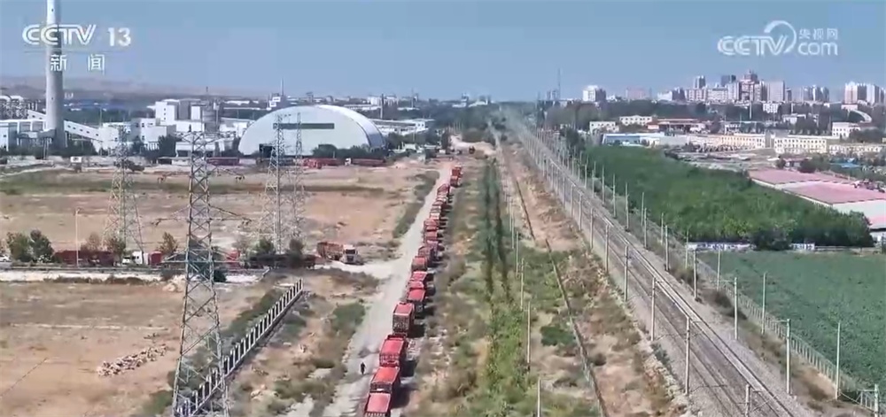 “订单种植+机械化采收”模式保障销路、提升效率 助农增收“钱”景好