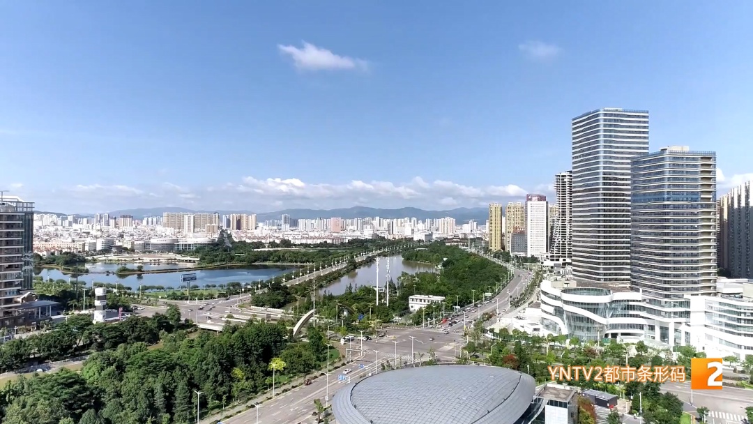 路边“黄金果”别乱摘！绿化部门紧急提醒：有毒！