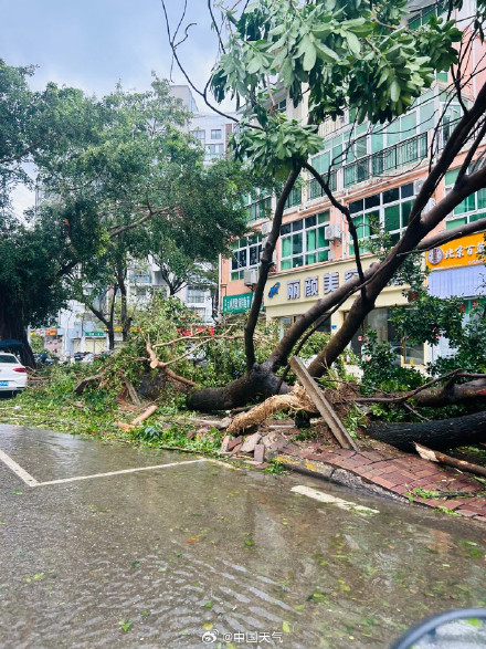 台风“剑鱼”吹袭三亚后现状