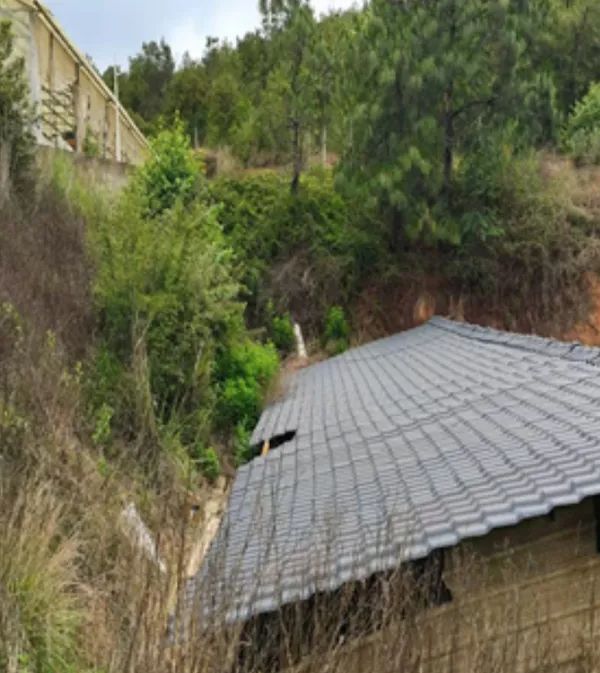 3人猪粪池中毒溺亡，9人被处理