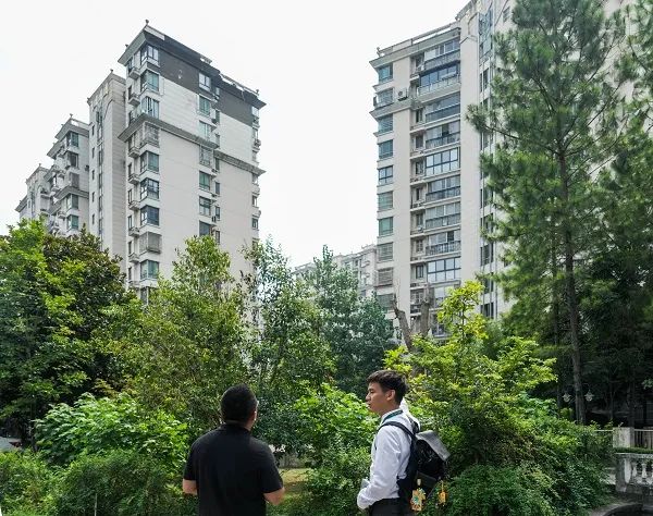 上海发布楼市新政后，房产中介“打鸡血”，房东和购房者都有新打算