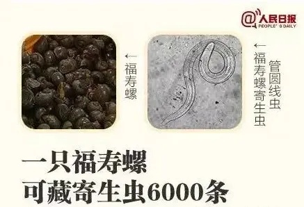 别吃!寄生虫达上千条 正大量出现 别吃!寄生虫达上千条 正大量出现