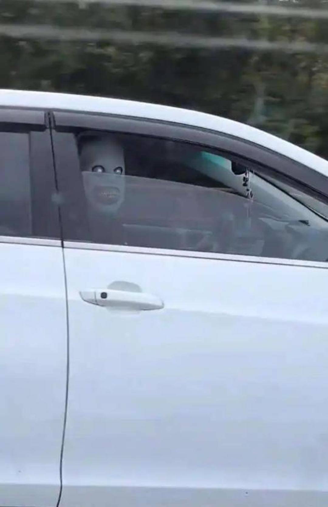 网友称高速路有人戴恐怖面具惊吓过路车辆 律师：行为涉嫌违法