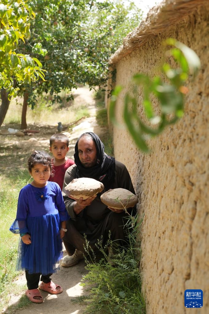 千年泥罐“康伽纳”:阿富汗人的葡萄保鲜智慧 千年泥罐“康伽纳”:阿富汗人的葡萄保鲜智慧