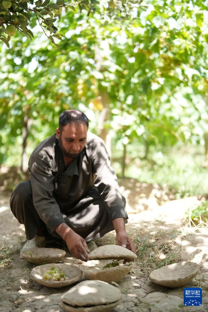 千年泥罐“康伽纳”:阿富汗人的葡萄保鲜智慧 千年泥罐“康伽纳”:阿富汗人的葡萄保鲜智慧