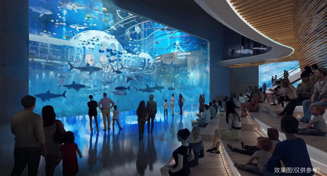 北京又一主题公园要上新啦！预计开放时间→