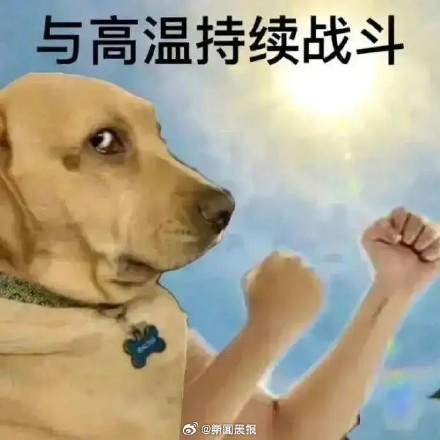 上海连续21天高温，打破8月最长连续高温纪录