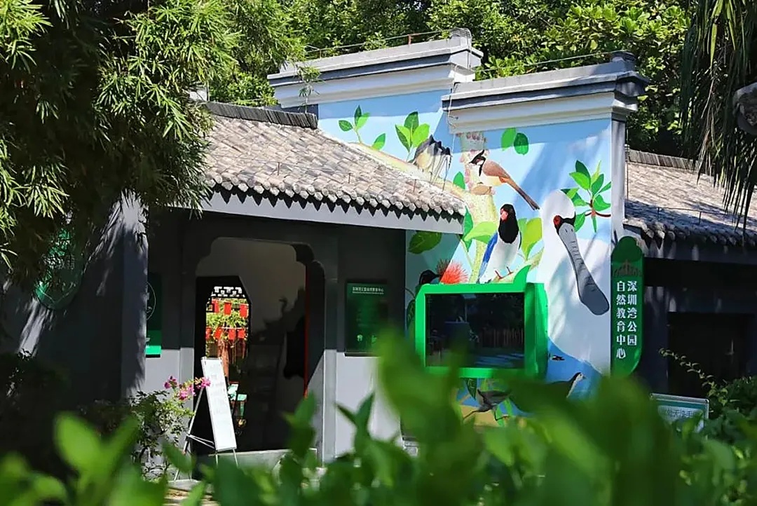 路灯当鸟窝?深圳首创! 路灯当鸟窝?深圳首创!