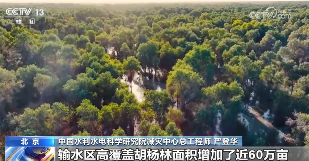 如何让洪水实现从“灾”到“源”的华丽转身?“软硬兼施”化害为利 如何让洪水实现从“灾”到“源”的华丽转身?“软硬兼施”化害为利