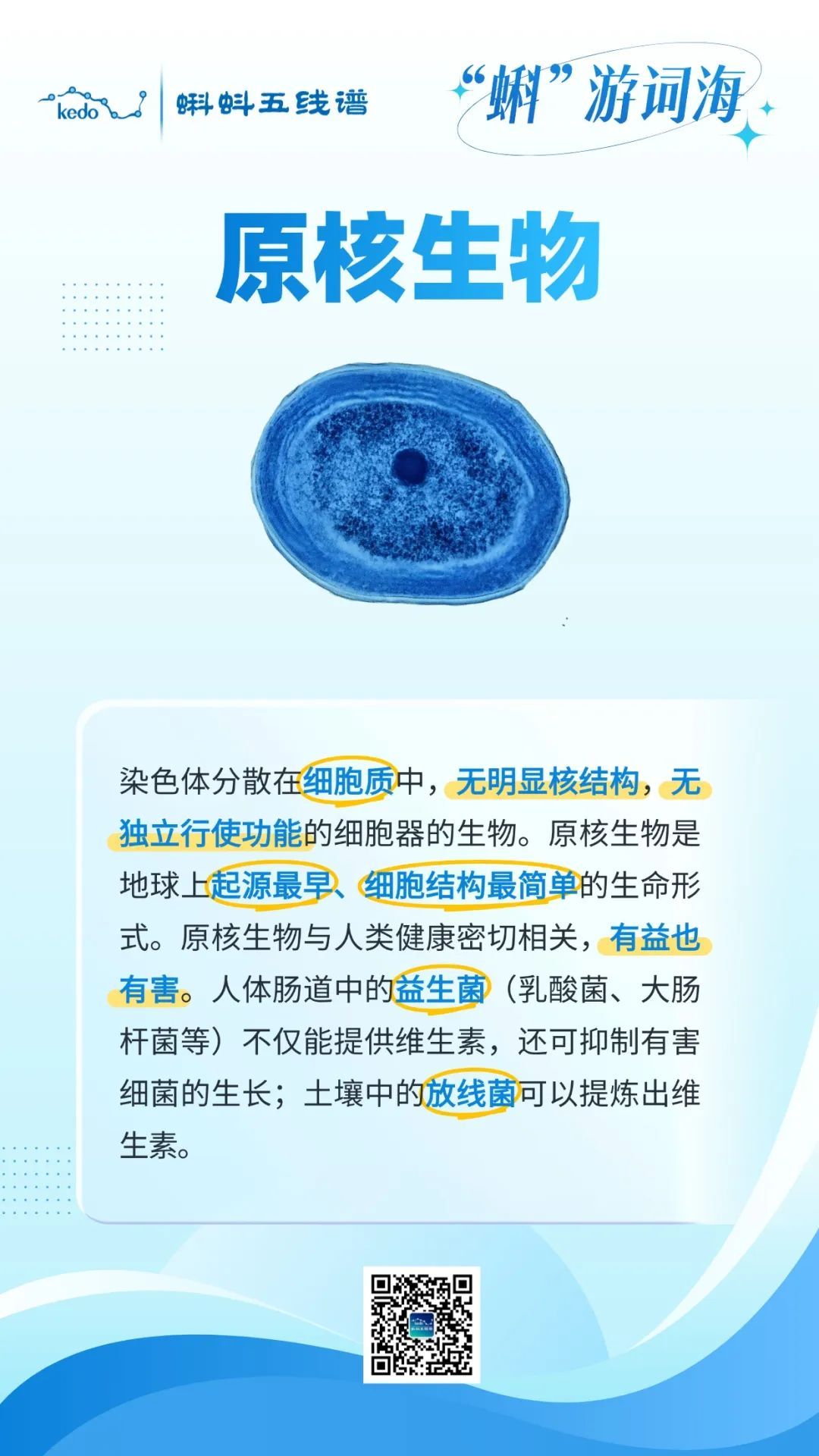 “蝌”游词海 | 原核生物