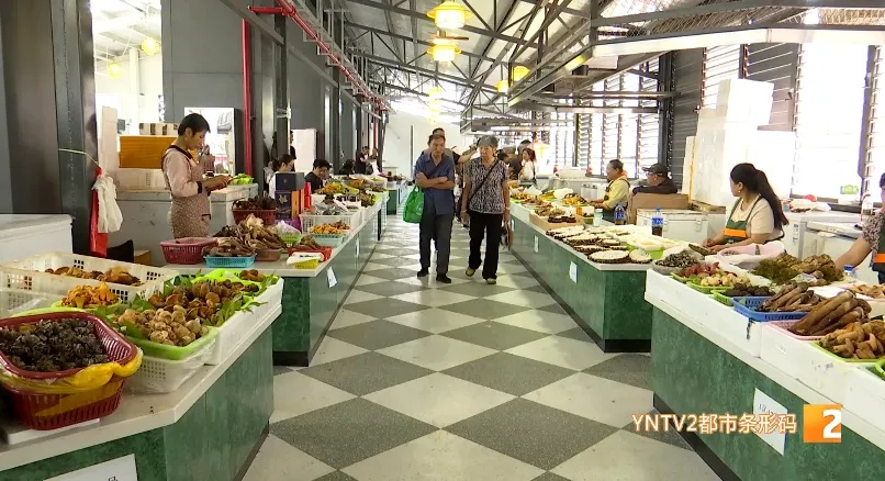 每天近6万人打卡！昆明“网红”菜市场成顶流，你可以体验最原汁原味的云南生活