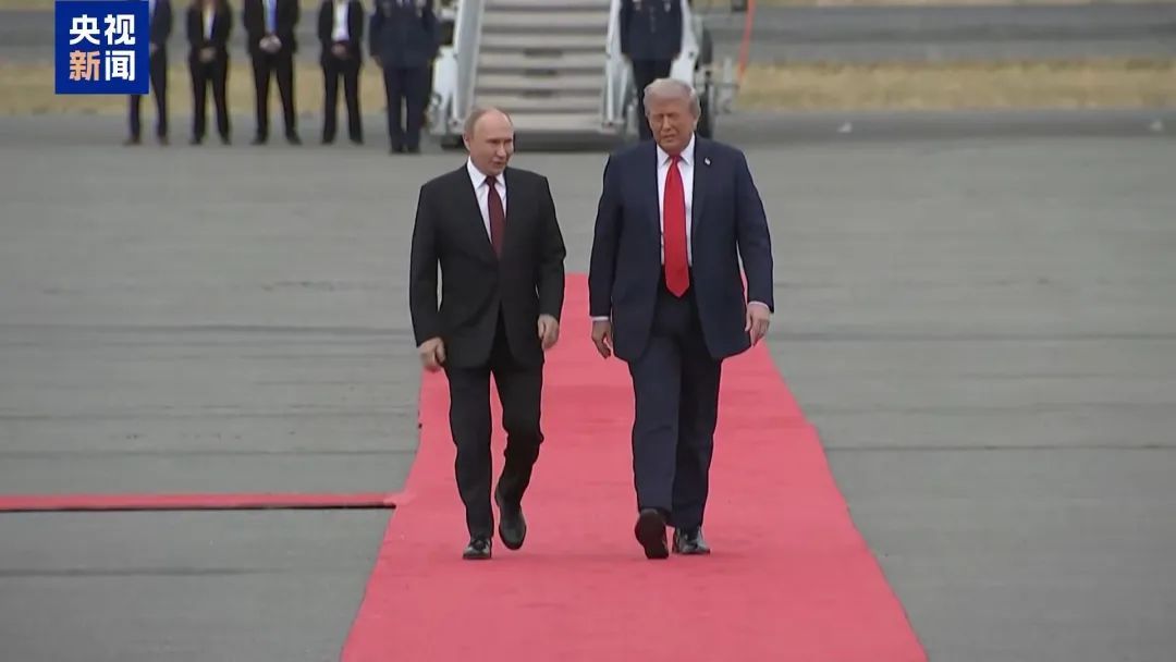 泽连斯基:本周末谈! 泽连斯基:本周末谈!