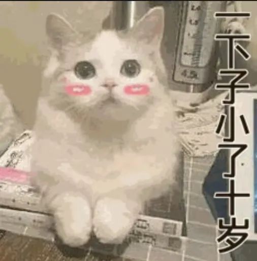 “能不能不要把这个事情告诉‘翠花’？”