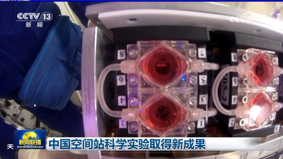 中国空间站科学实验取得新成果