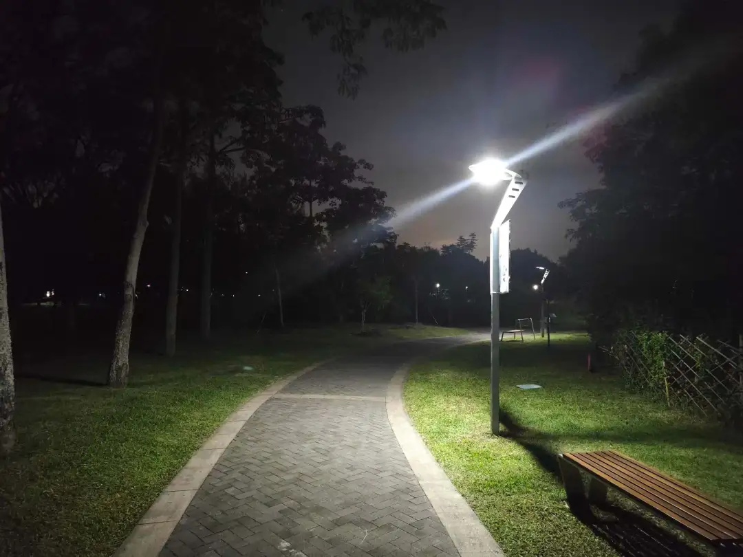 路灯当鸟窝?深圳首创! 路灯当鸟窝?深圳首创!