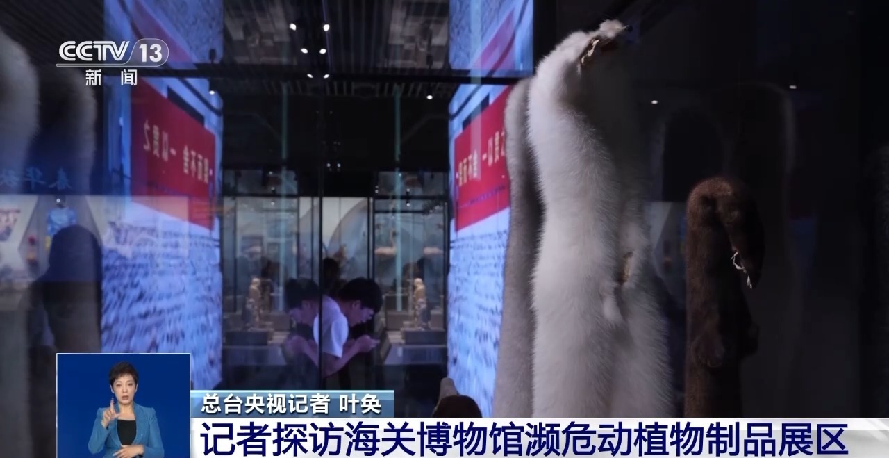 重拳打击走私犯罪 海关总署查获濒危野生动植物制品479吨 重拳打击走私犯罪 海关总署查获濒危野生动植物制品479吨