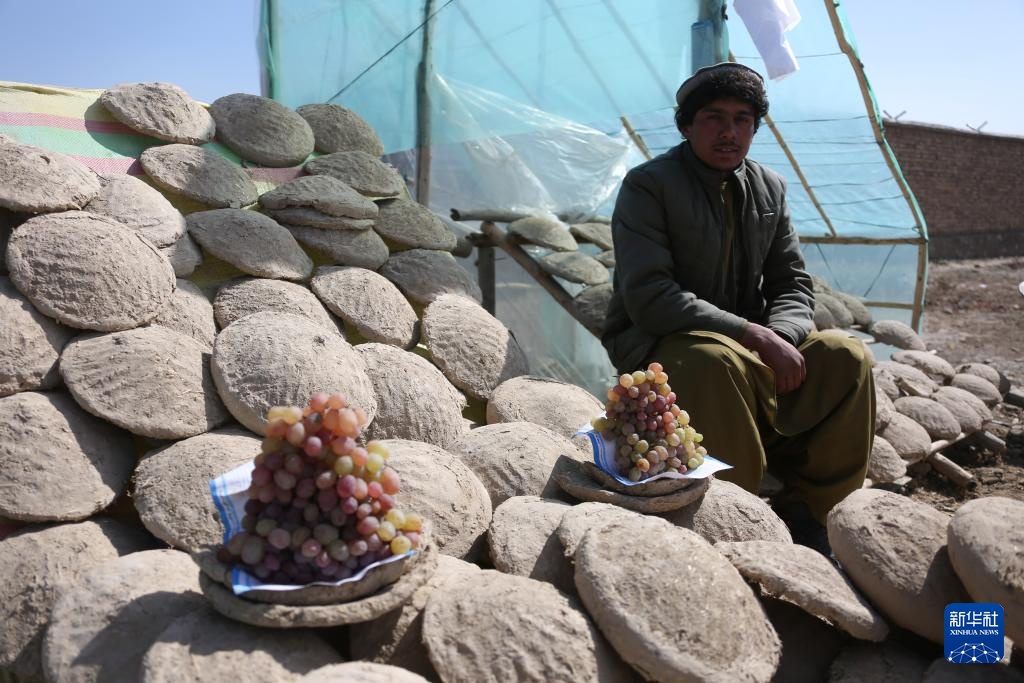 千年泥罐“康伽纳”:阿富汗人的葡萄保鲜智慧 千年泥罐“康伽纳”:阿富汗人的葡萄保鲜智慧