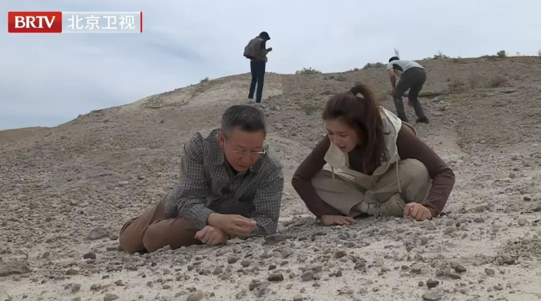 《大先生》第四季问启未来：探寻科学之光，照亮未来征途