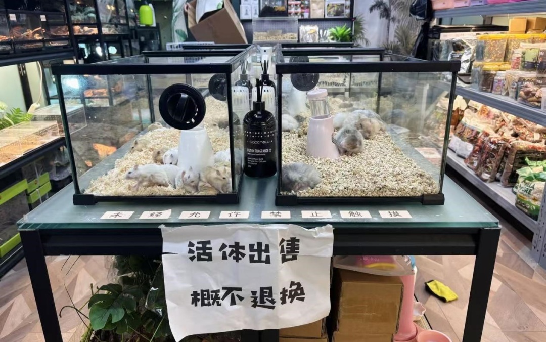 异宠不易“宠” 亟待规范管理跟进