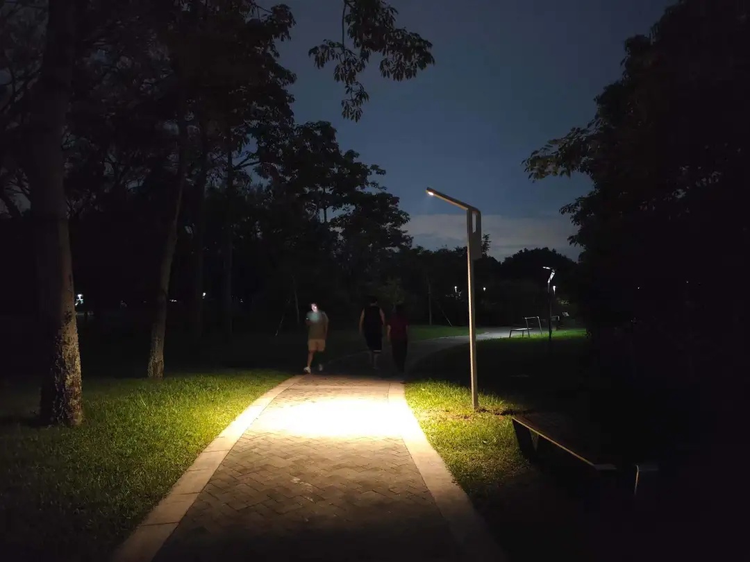 路灯当鸟窝?深圳首创! 路灯当鸟窝?深圳首创!