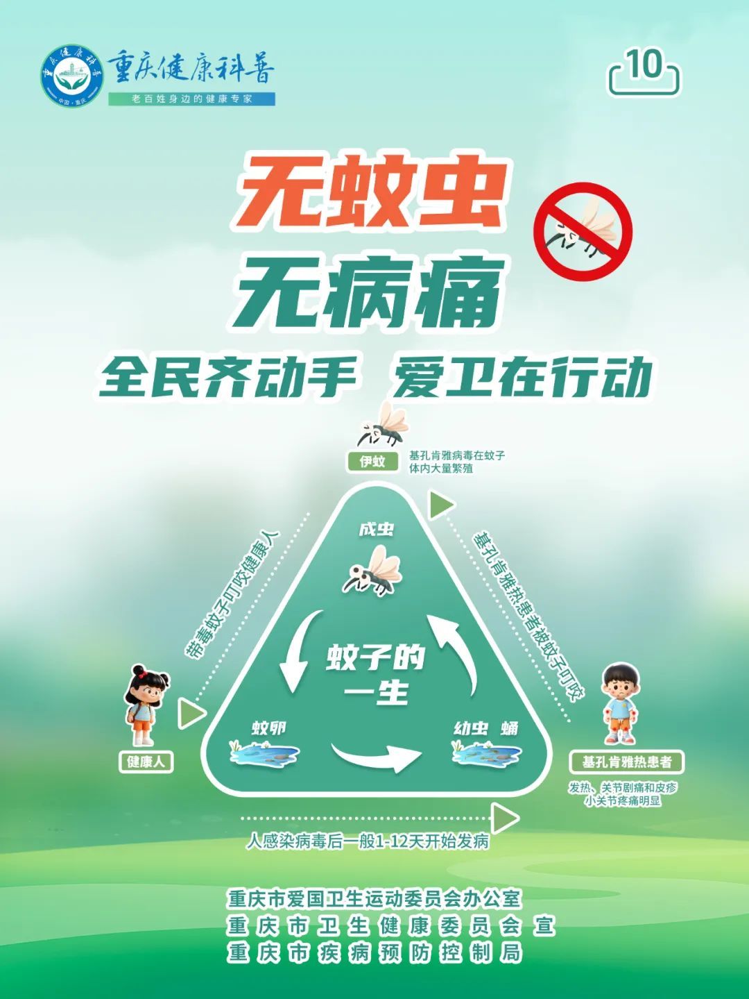 预防基孔肯雅热和登革热 防蚊灭蚊是关键 预防基孔肯雅热和登革热 防蚊灭蚊是关键