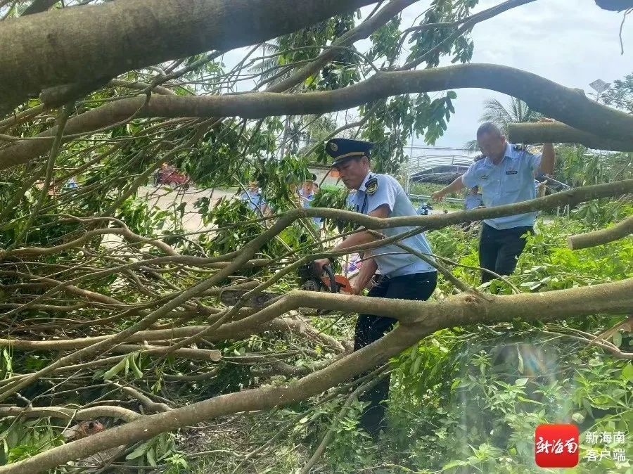 清障归来遇女子昏迷施援手,三亚街头跪地救人的他找到了→ 清障归来遇女子昏迷施援手,三亚街头跪地救人的他找到了→