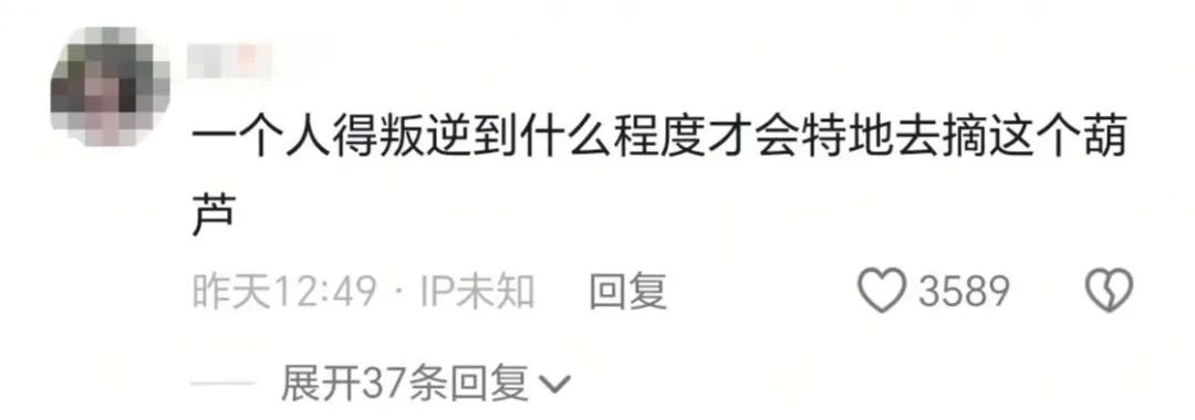 一个葫芦,怎么就惹了众怒? 一个葫芦,怎么就惹了众怒?
