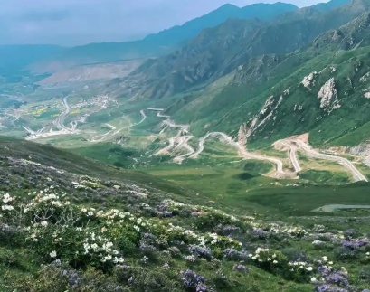 太任性!杭州一老板连夜关停3家店,逃回青海!原因竟是…… 太任性!杭州一老板连夜关停3家店,逃回青海!原因竟是……