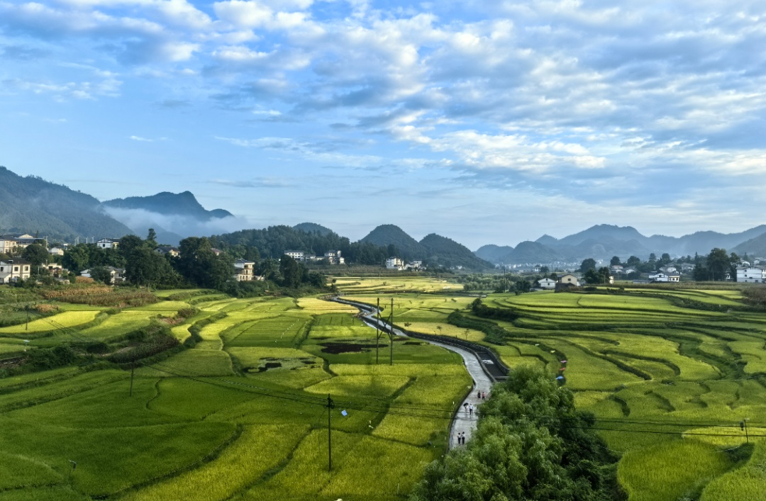 贵州阳光持续“在线”！秋晒正当时，这些地方需注意降雨→